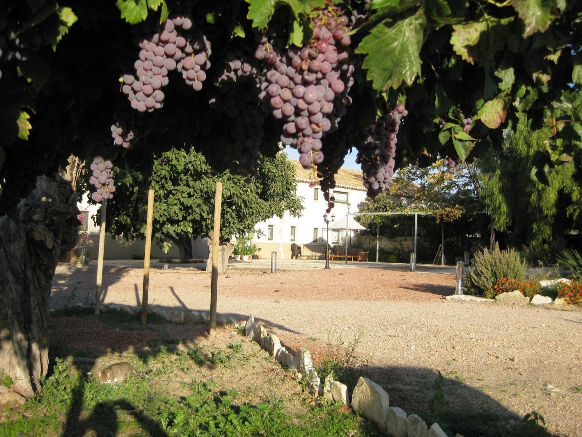 Jardines De Casablanca Hotel Caravaca De La Cruz Buitenkant foto