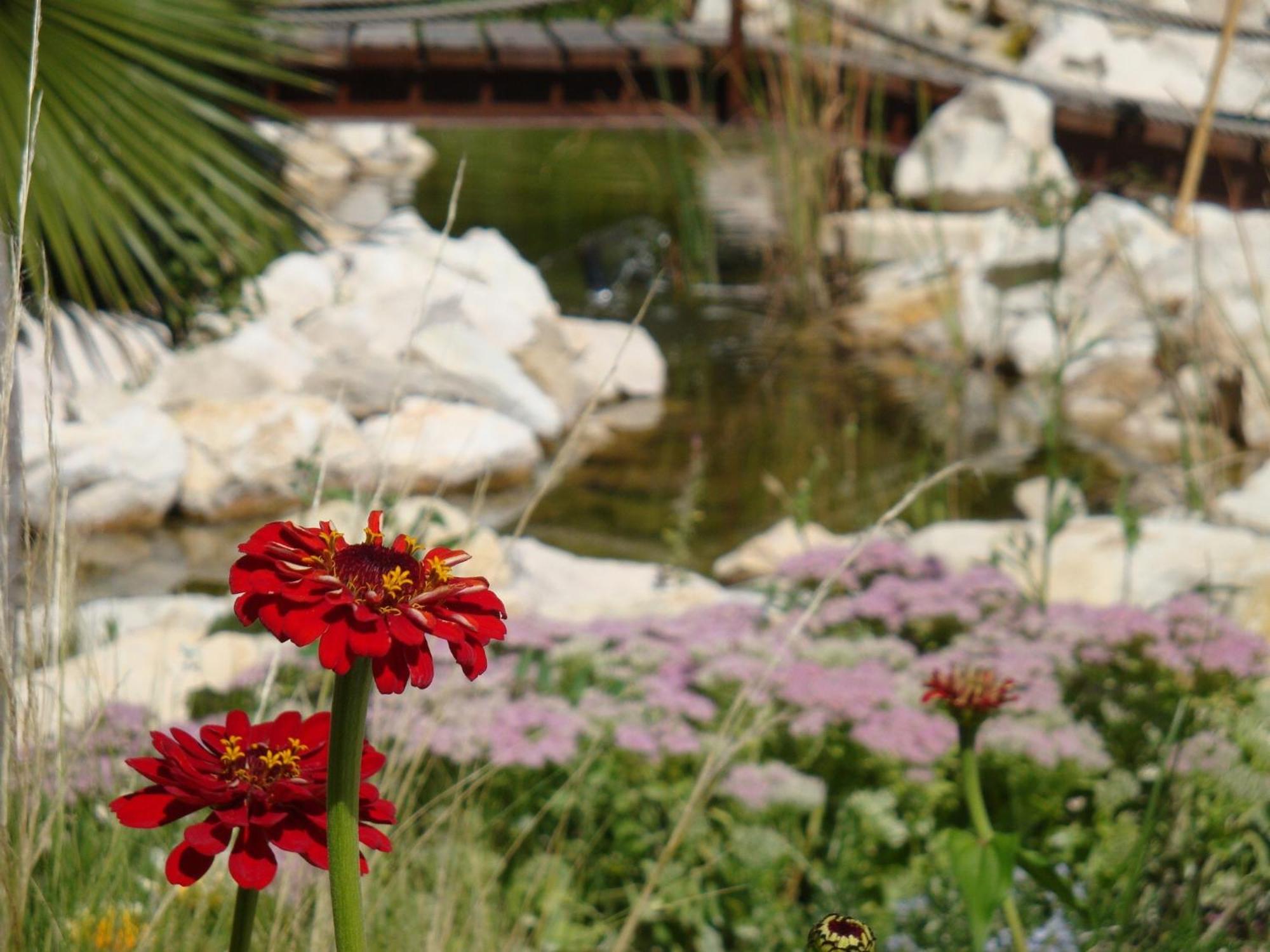 Jardines De Casablanca Hotel Caravaca De La Cruz Buitenkant foto