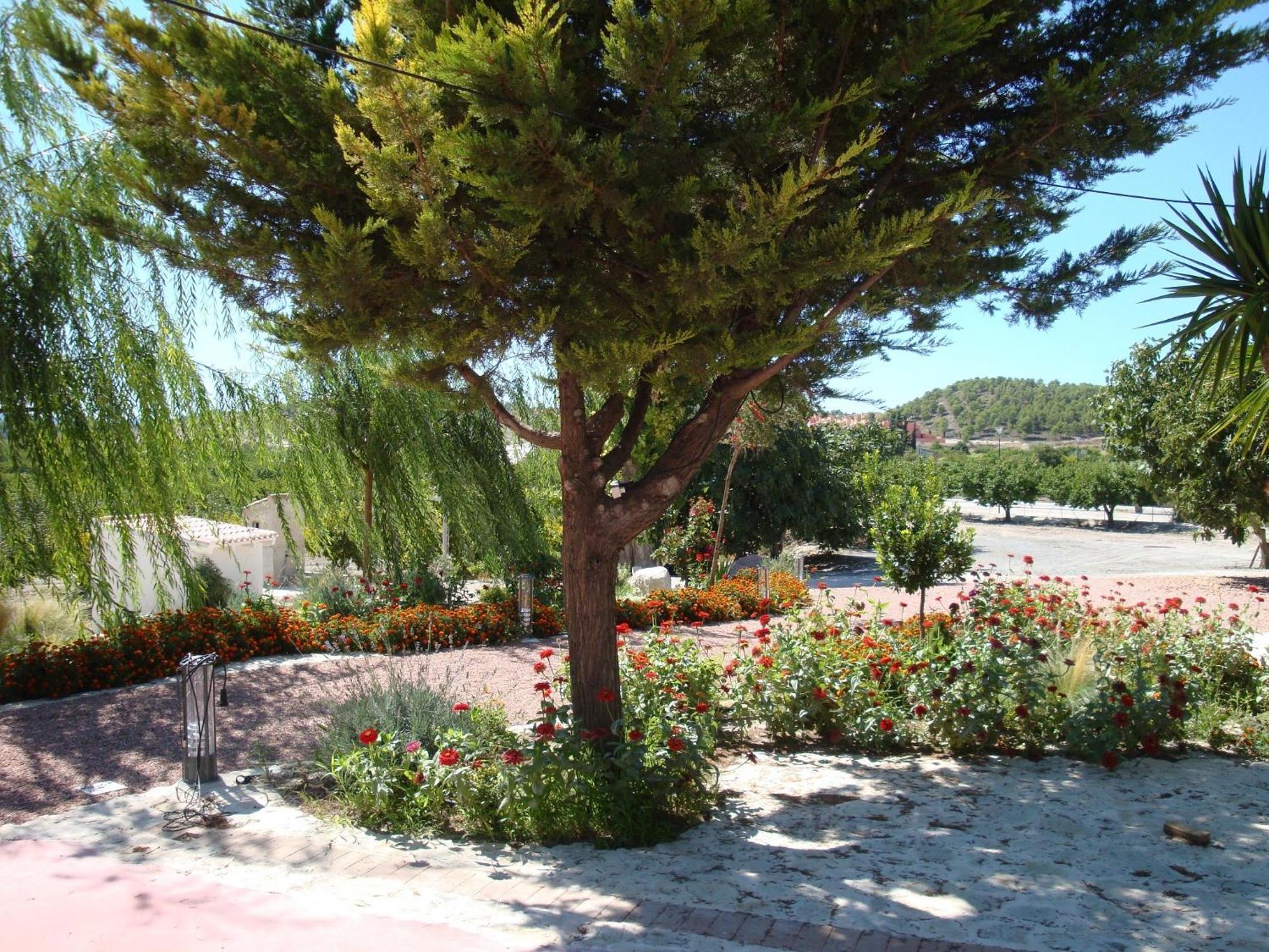 Jardines De Casablanca Hotel Caravaca De La Cruz Buitenkant foto