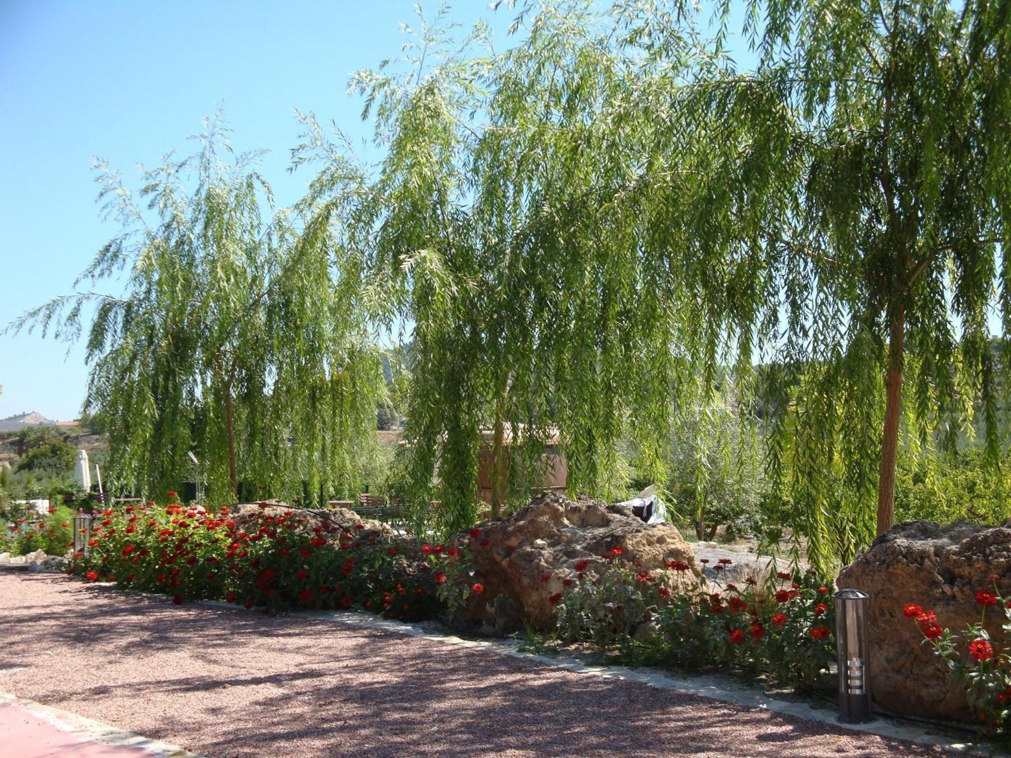 Jardines De Casablanca Hotel Caravaca De La Cruz Buitenkant foto
